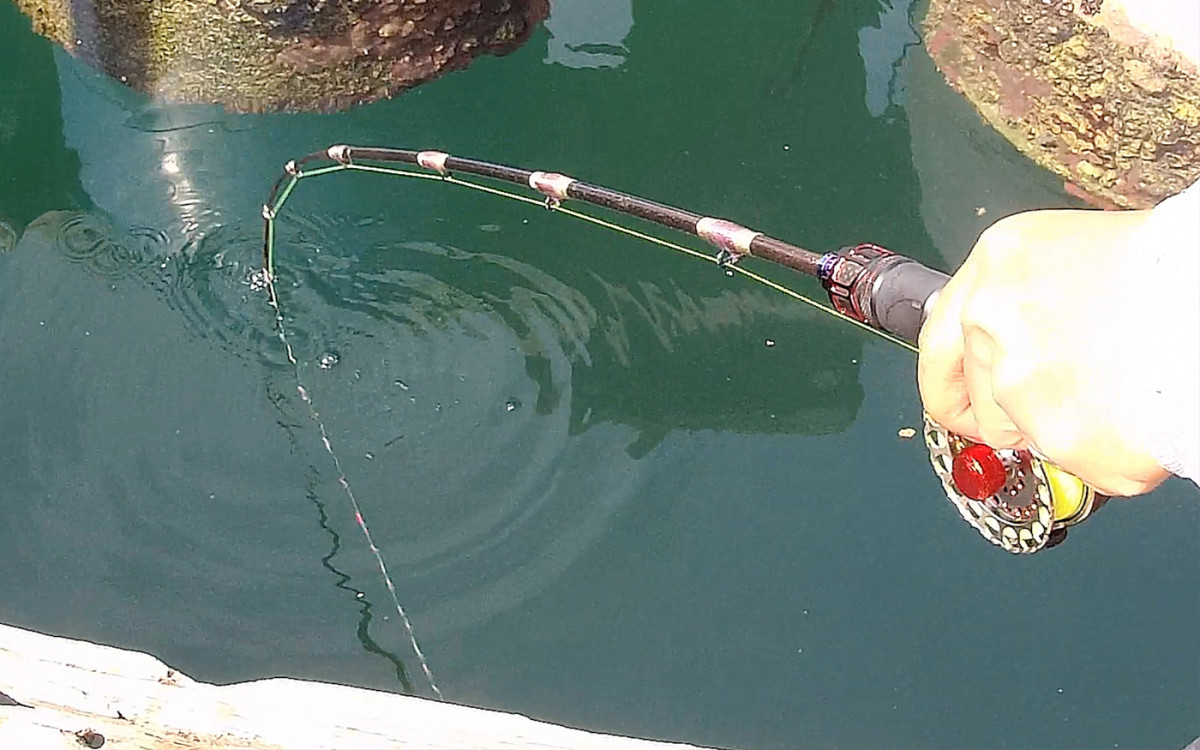 鴻光捕手研學舍 鴻光捕手研學舍